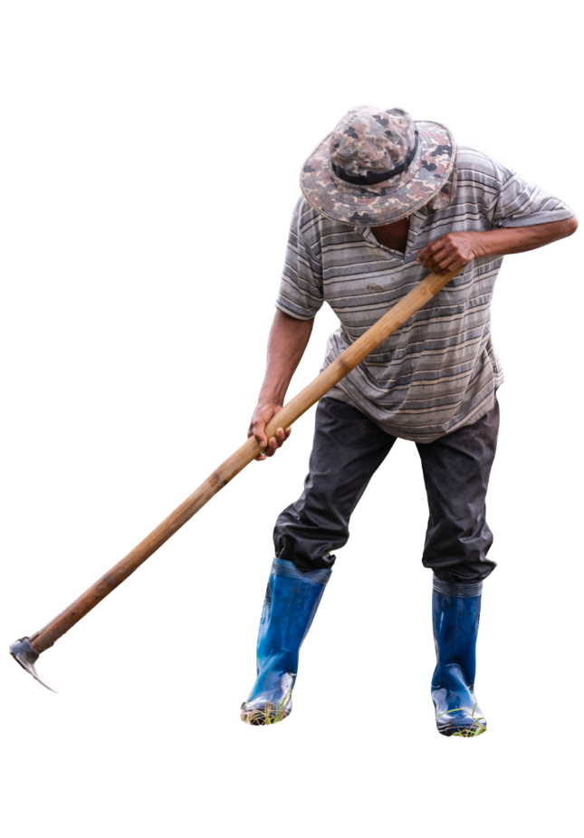 diseño sin título (4)